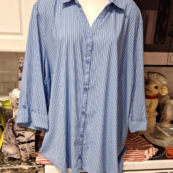 z Catherines Blue Stripe Stretch Button Front Plus Size Shirt 3X - Picture 1 of 4